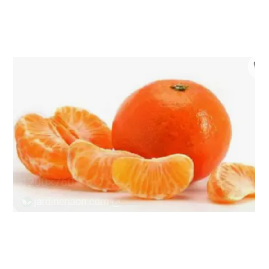 Clic para ver detalles del producto